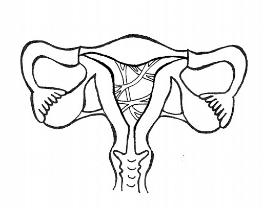 omschrijving afbeelding